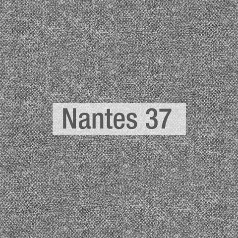 nantes37.jpg