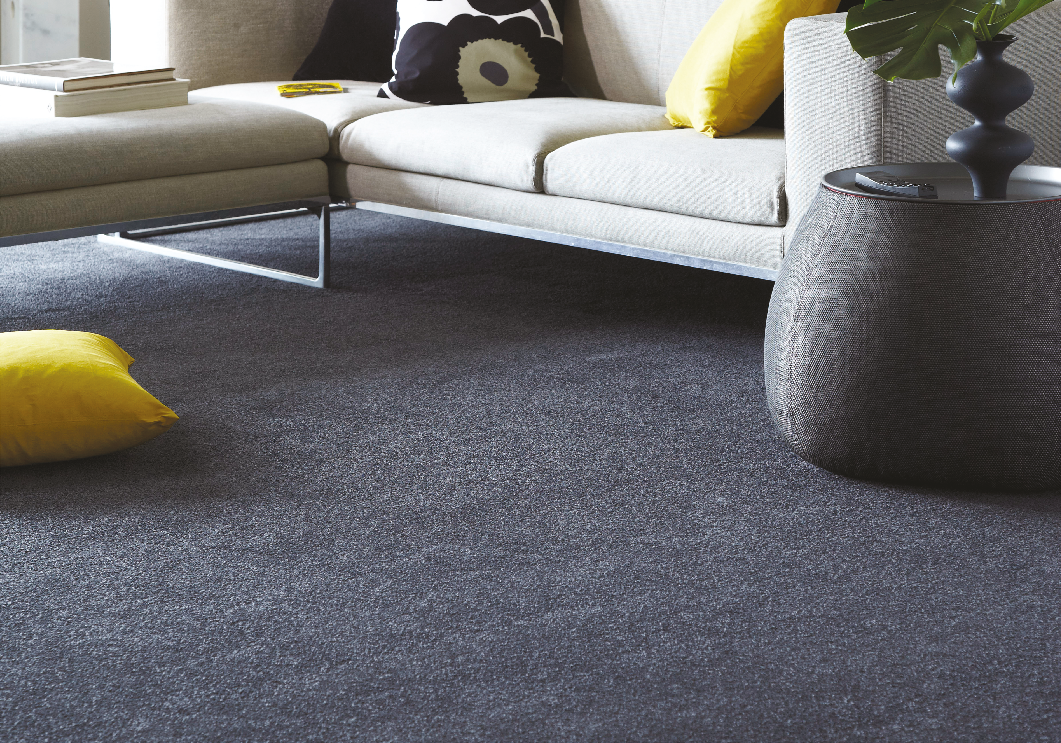 Carpet Banner 1 01